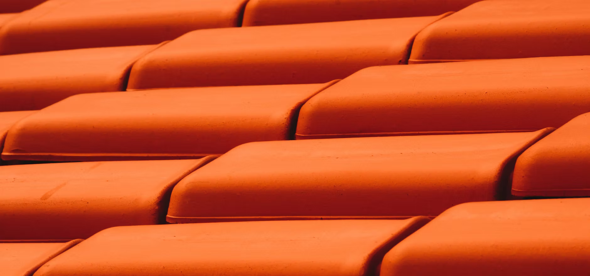 Image by Luan de Oliveira Silva Image by Luan de Oliveira Silva