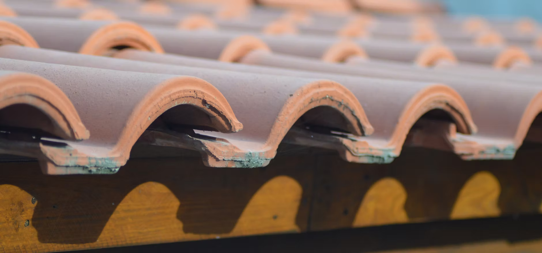 commercial-img01 commercial-img01